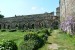 PICTURES/Ghent -  St. Bavo Abbey/t_Inner Courtyard9.JPG